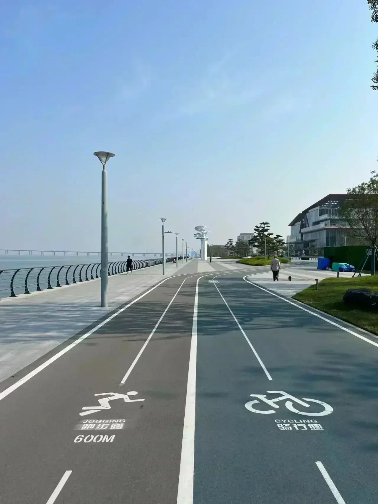 Polo Hooded Sweatshirt